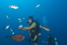 More Info: Bubbles Below