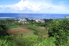 Tangaroa Tours