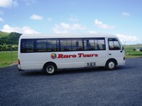 More Info: Raro Tours Direct