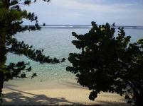 One bedroom self contained beach bach located on the beachfront on the south coast of Rarotonga and only a few steps away from the waters edge