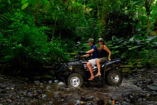 More Info: Coconut Tours 