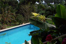 Amuri pool villa is a home away from home with a full kitchen and laundry and all the other goods that go to make this a relaxing spot to rest.