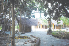 More Info: Ara Moana Bungalows