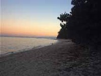 Aroa Beachside Inn offers waterfront units on the beautiful white sand beach of western Rarotonga, including two deluxe interconnecting beachfront units with disabled facilities.