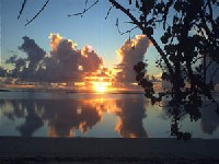 Aroa Beachside Inn offers waterfront units on the beautiful white sand beach of western Rarotonga, including two deluxe interconnecting beachfront units with disabled facilities.