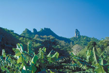 More Info: Takitumu Conservation Tours