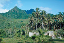 Takitumu Conservation, a community based protected area set aside in 1996 by the landowners to protect endangered native birds and their habitat.