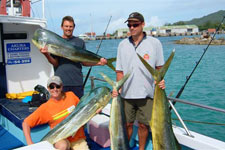 Akura Fishing Charters - 26' Sea Ray walk around 4 stroke twin outboard modern purpose built vessel