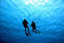 Rarotonga's best kept secret is out! If diving around the Cook Islands is where you want to be, then take advantage of 29 years local knowledge with Cook Island Divers
