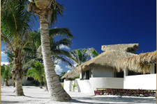 Luxurious accommodation on a white sand beach facing the sunset. This intimate full service resort is complemented by Polynesian warmth and hospitality.  Royal pampering, Island style!