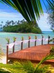 More Info: Muri Beach Resort