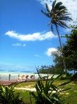 Muri Beach Resort has 16 stylish villas and apartments is a small and intimate oasis offering a serene and tranquil ambience ...perfect for your tropical island escape.
