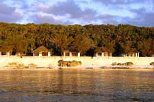Perched on a secluded pocket of ancient rock, on the north-western shores of Mangaia, you will discover Mangaia Villas. 
