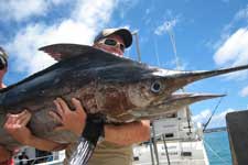 Delano Adventure Fishing offer an experienced crew with local knowledge of the beautiful Raro waters and its deep sea fish to make this fishing charter a memorable day out...