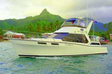 Delano Adventure Fishing offer an experienced crew with local knowledge of the beautiful Raro waters and its deep sea fish to make this fishing charter a memorable day out...