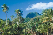 Pa's  Mountain Trek or Nature Walk is a great way to see the interior of the island and learn about the many medicinal uses for the local fauna and flora. Take to the hills with Pa and enjoy the views