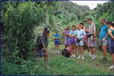 Pa's  Mountain Trek or Nature Walk is a great way to see the interior of the island and learn about the many medicinal uses for the local fauna and flora. Take to the hills with Pa and enjoy the views