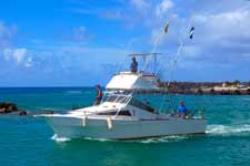 Reel Time (Pacific Marine Charters) Attractions Cook Islands Tours / Activities Rarotonga