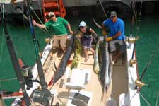 Rarotonga's best equipped fishing operation uses Penn International reels, Pacific Marine Charters have been fishing Rarotonga's open waters for many years. Their boats are equipped for the big catch!