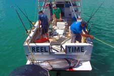 Rarotonga's best equipped fishing operation uses Penn International reels, Pacific Marine Charters have been fishing Rarotonga's open waters for many years. Their boats are equipped for the big catch!
