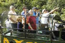 Raro Safari Tours Land Activities Cook Islands 4WD Adventure Rarotonga