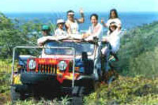 Take to the mountains and valleys of Rarotonga where the normal tourist traffic can't get to and discover the beauty of tropical Rarotonga.

