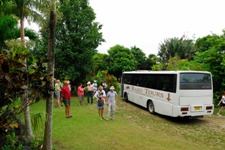 Rarotonga's premier transfer company providing quality set in coach or private air-conditioned car transfers from the airport to any registered property on Rarotonga.