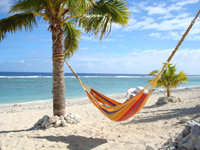 Welcome to the new and eco friendly Sunset Resort Rarotonga.  A stunning combination of 35 new and newly refurbished studio, 1 bedroom and 2 bedroom suites..