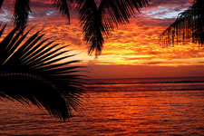This property has absolute beach frontage and is situated on the western side of Rarotonga with magnificent tropical sunsets. Our Brunch Cafe  provides delicious meals from breakfast to afternoon tea.
