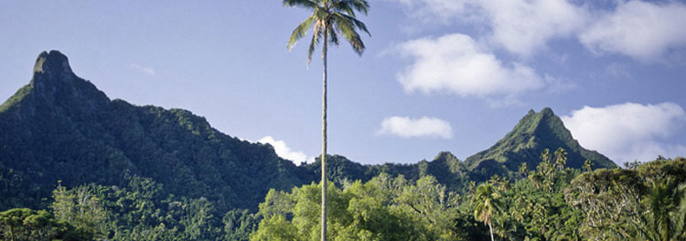 Beautiful Mountains of the Rarotonga