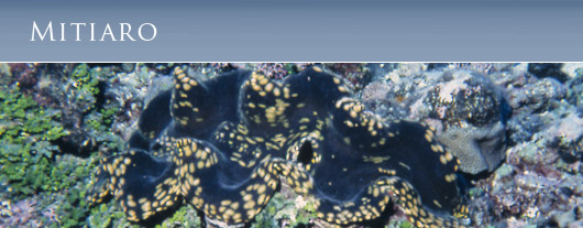 Cook Islands, Mitiaro, Itiki, Fresh Water Caves, Lakes