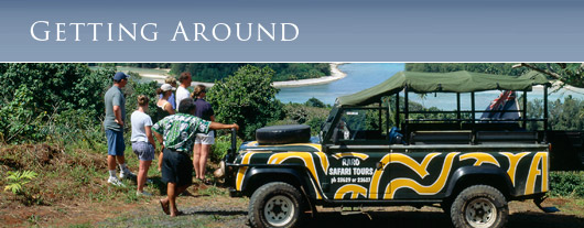 Rarotonga Safari Tours